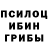 Псилоцибиновые грибы прущие грибы MADARA. KZ