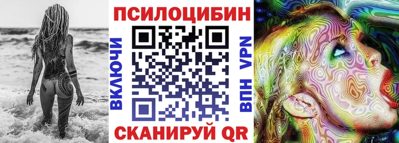 Псилоцибиновые грибы Psilocybine cubensis  Купить закладки  Кудымкар 