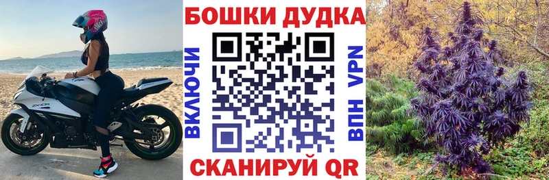 Бошки Шишки THC 21%  Купить  Кудымкар 